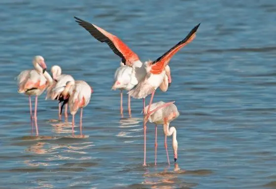 Exclusive Luxury Poetto 4* カリアリ